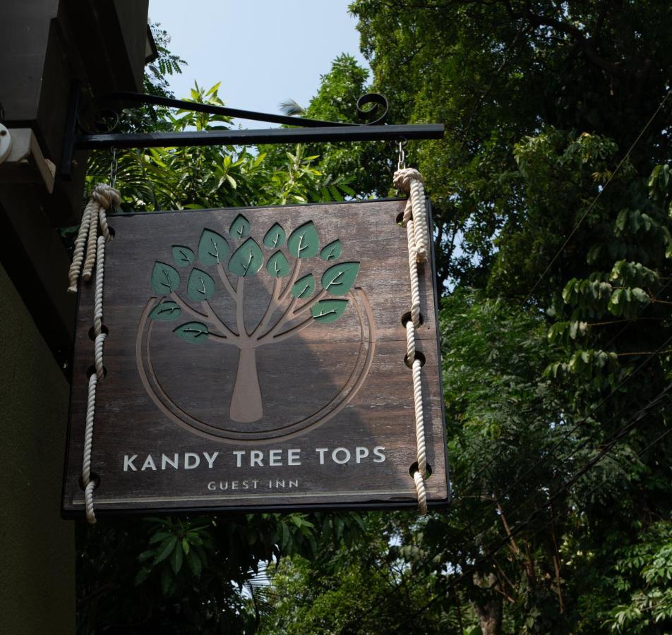 Kandy Tree Tops 外观 照片